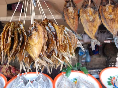 Chuyện Lào: Kỳ khôi đường cá Nậm Ngừm