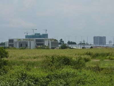 Công viên phần mềm Thủ Thiêm vẫn chỉ là khu đất cỏ mọc um tùm