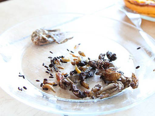 Bữa tối “ngon lành” của ông Gracer