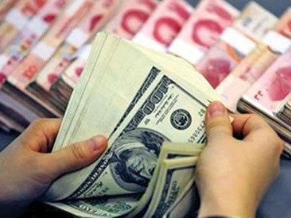 Kiểm soát ngoại tệ: Vì tránh H5N1 nên cấm nuôi gà?