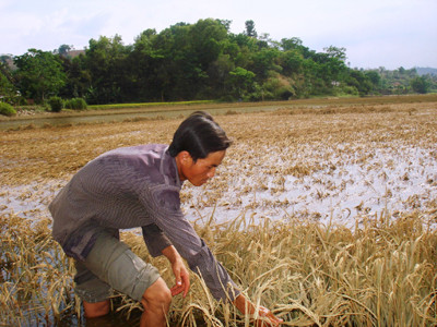 Dân đối mặt nạn đói vì đường chậm sửa