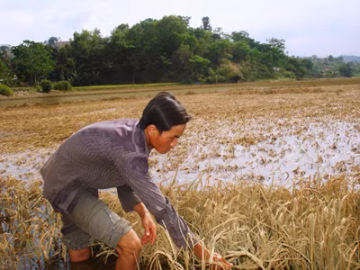 Dân đối mặt nạn đói vì đường chậm sửa