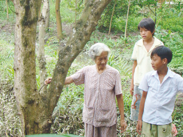 Sonadezi cam kết bồi thường cho dân