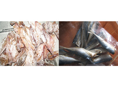 Mực, cá nục khô có chất thuốc trừ sâu