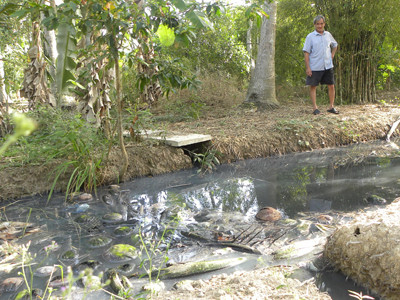 Chủ chợ bơm nước thải về khu dân cư