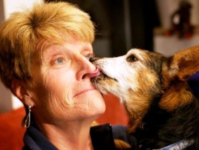 Kỳ lạ cuộc thi hôn... chó