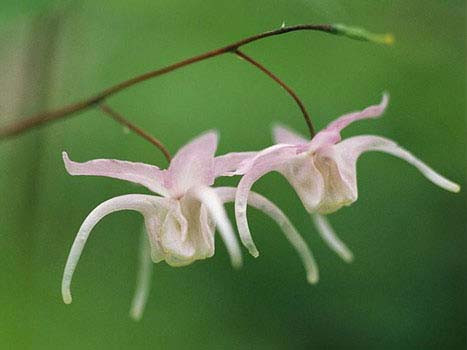 Tuần của bạn (từ 24-10 đến 30-10)