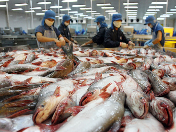 Các doanh nghiệp sản xuất hàng xuất khẩu cần được hỗ trợ về vốn vay Ảnh: H.V