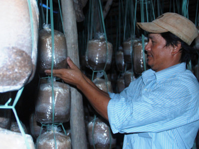 Nông dân hai bằng đại học