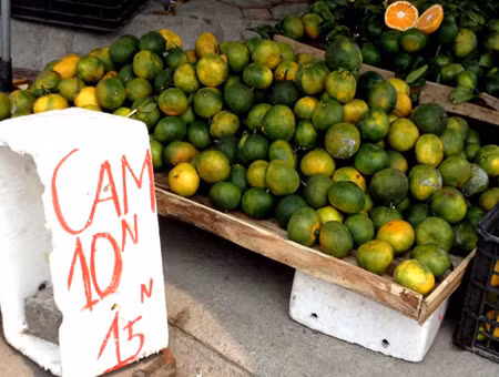 Cam nội liêu xiêu vì cam Trung Quốc