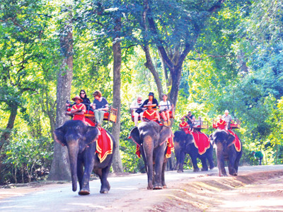 Phượt với biển rừng Moldunkiri