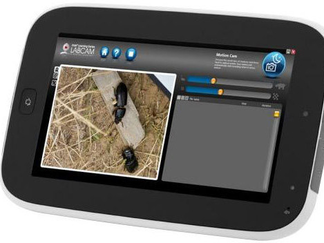 Intel ra mắt máy tính bảng giá rẻ cho học sinh