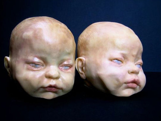 Bánh sôcôla hình... đầu trẻ sơ sinh