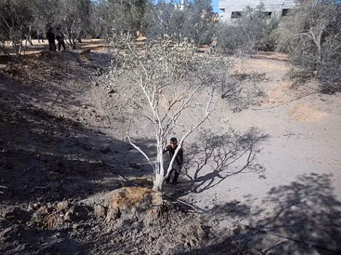 Bắc Gaza sau trận không kích của Israel vào Beit Lahia hôm 28/10