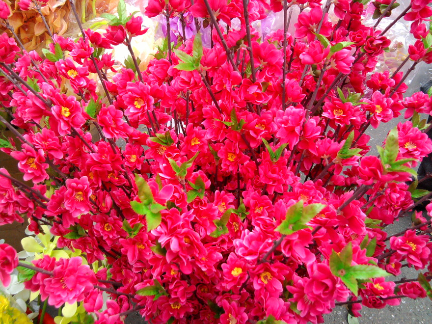 Trăm sắc hoa... giả đua chen