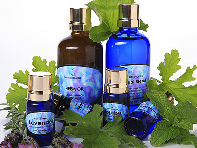 Bảy loại tinh dầu có lợi cho sức khỏe