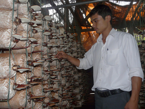 'Đầu ra' ở các trung tâm dạy nghề