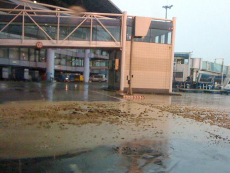 Mưa lớn làm bục bể phốt sân bay Nội Bài