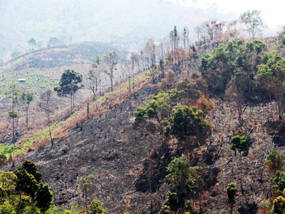 Hạn hán nghiêm trọng khắp Tây Nguyên