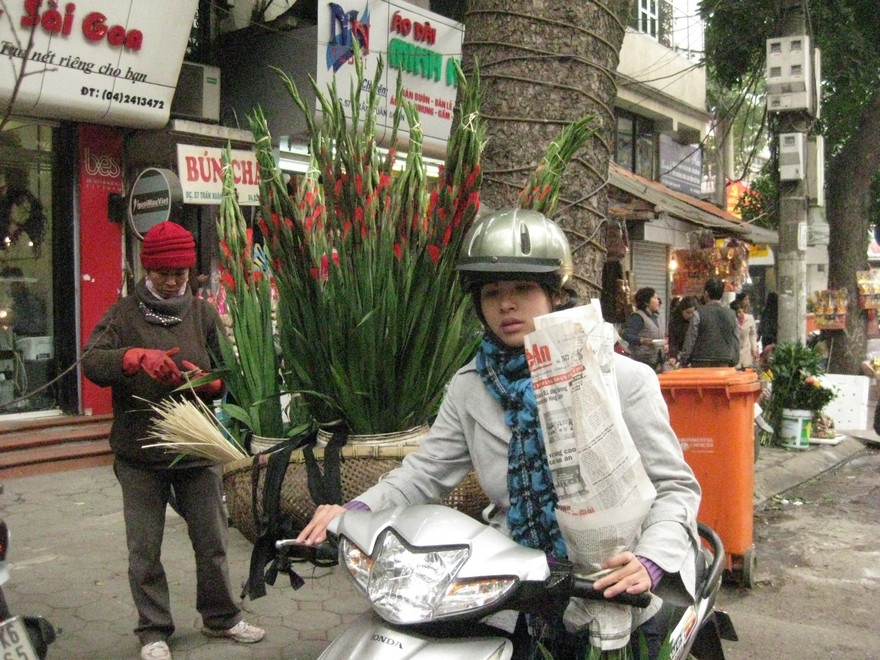 Nhiều người dân tích hoa từ sớm