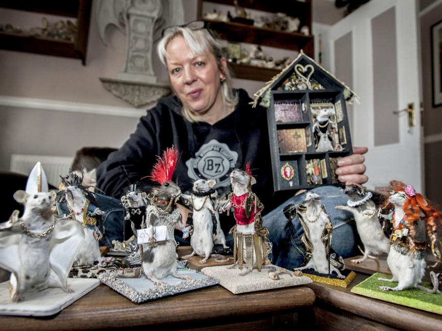 Chuột xác ướp sành điệu