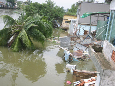 Đánh cược với thủy thần