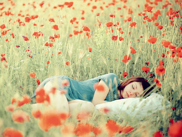 Những bức ảnh đầy chất thơ về phụ nữ