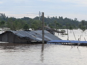 Bão, lũ làm 13 người chết, 5 người bị thương