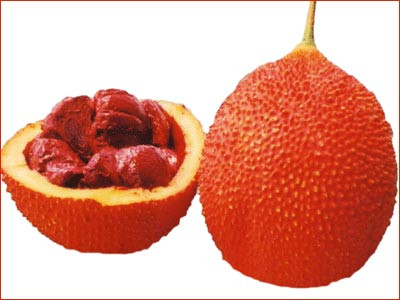 Hạt gấc chữa mụn nhọt, ghẻ lở