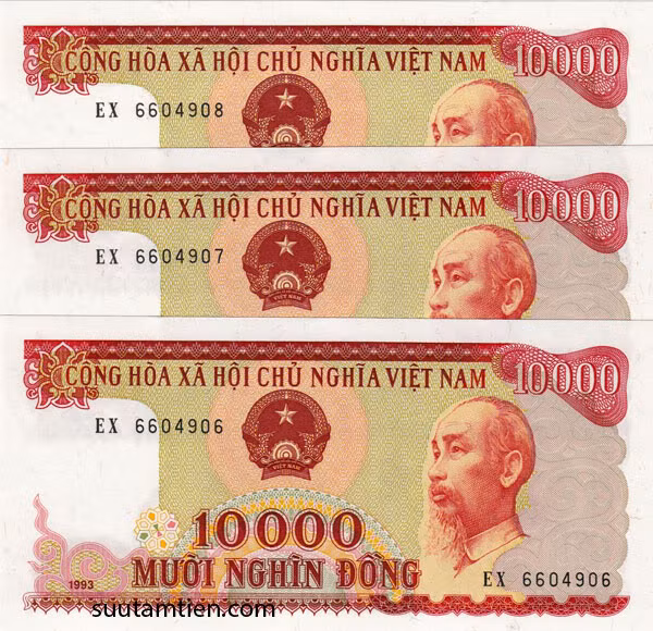 Đổ xô đi mua 'Hoa hậu' tiền giấy