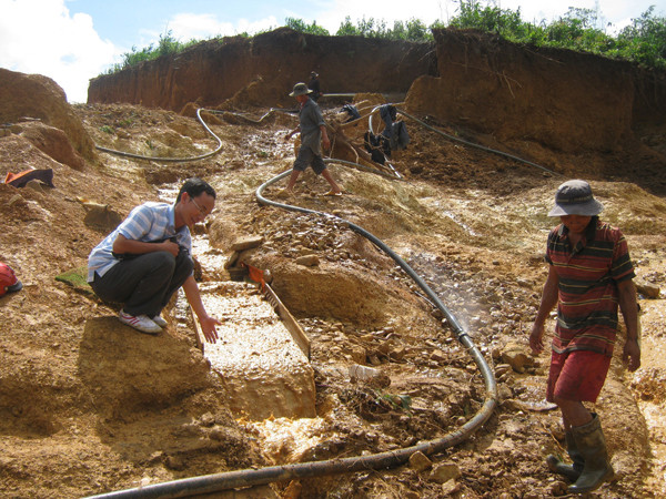 Phá rừng tìm vàng