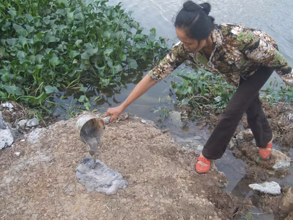 Một phụ nữ múc cặn từ nước thải nhà máy Tung Kuang, tỉnh Hải Dương, xả ra con sông ngay cạnh nhà chị. Ảnh: QD