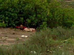 Nữ sinh cấp ba mang thai bị sát hại dã man