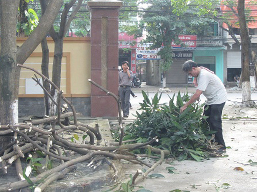 Nghệ An- Hà Tĩnh căng mình đối phó siêu bão