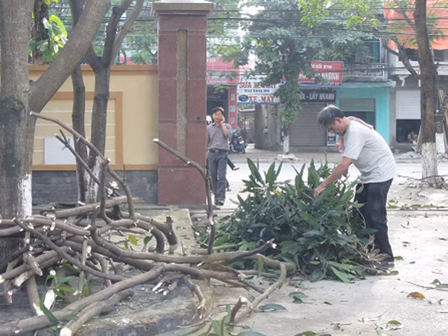 Nghệ An- Hà Tĩnh căng mình đối phó siêu bão