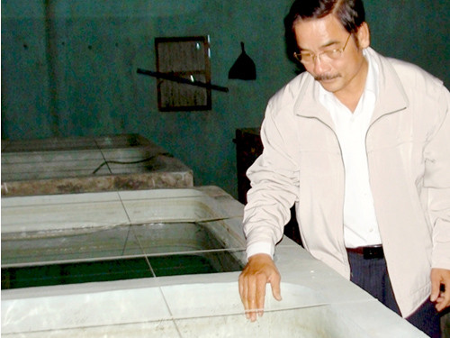 Nuôi cá ngựa vằn thương phẩm