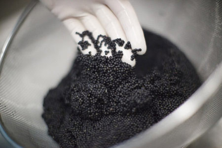 Đại gia Sài Gòn chi tiền tỷ mở tiệc... trứng cá tầm