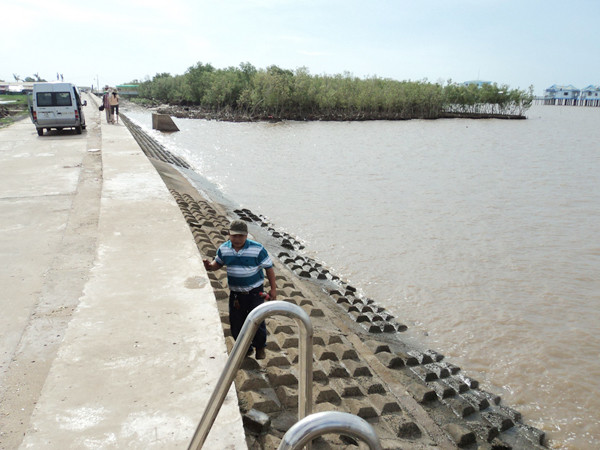 Rừng tàn, biển tiến