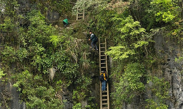 Xót cảnh thầy trò bắc thang lên trời tìm chữ