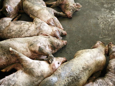 Hai vạn tám dòng sông ở Trung Quốc biến mất