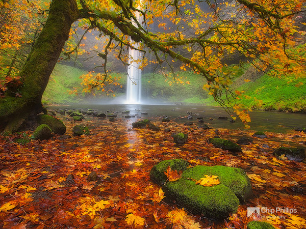 Thác nước đẹp như mơ