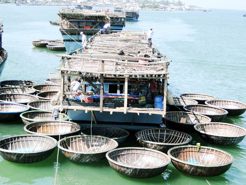 Tàu câu mực như cánh hoa trên sóng Ảnh: Hải Anh