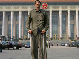 Mời người cao nhất thế giới cứu cá heo