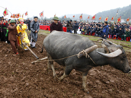 Cận cảnh lễ hội Tịch điền