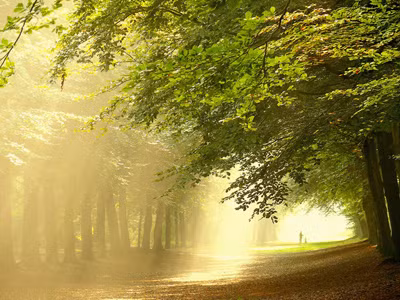 Khoảng khắc thanh bình của thiên nhiên