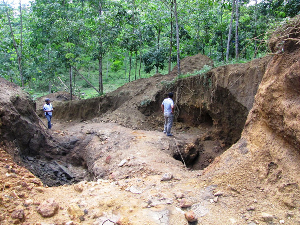Xới tung rừng cao su để tìm vàng