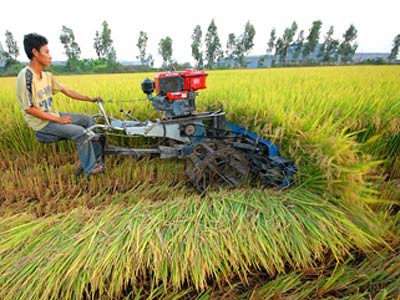 Đầu tư cho tam nông: Chưa hiệu quả, thiếu bền vững