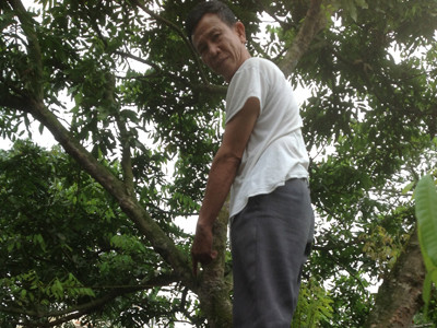 Có không sự bao che cho tội phạm lộng hành miền quê?