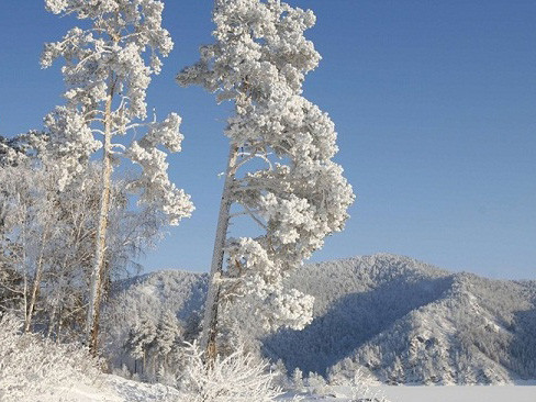 Nga: Âm 60 độ C, cả trăm người chết rét