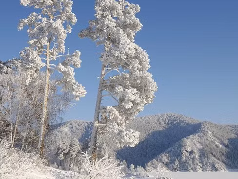 Nga: Âm 60 độ C, cả trăm người chết rét